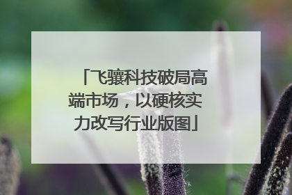 飞骧科技破局高端市场，以硬核实力改写行业版图