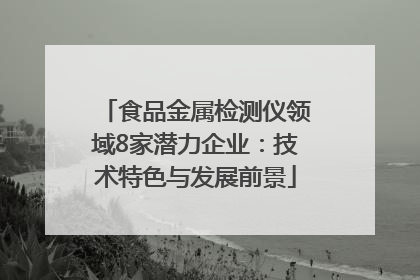 食品金属检测仪领域8家潜力企业：技术特色与发展前景