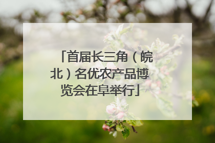 首届长三角（皖北）名优农产品博览会在阜举行