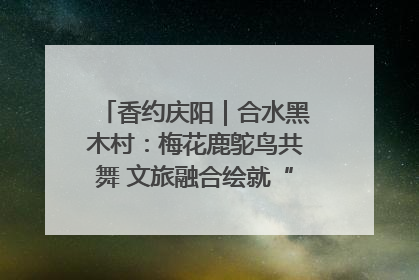 香约庆阳｜合水黑木村：梅花鹿鸵鸟共舞 文旅融合绘就“诗与远方”