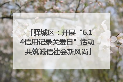 驿城区：开展“6.14信用记录关爱日”活动 共筑诚信社会新风尚