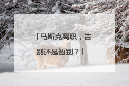 马斯克离职，告别还是暂别？