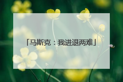 马斯克：我进退两难