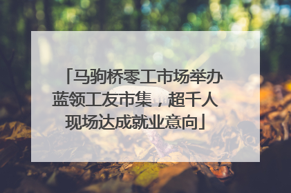 马驹桥零工市场举办蓝领工友市集，超千人现场达成就业意向