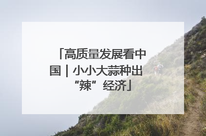 高质量发展看中国｜小小大蒜种出“辣”经济