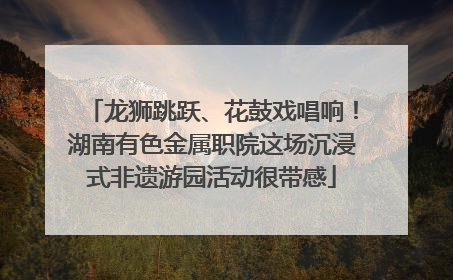 龙狮跳跃、花鼓戏唱响！湖南有色金属职院这场沉浸式非遗游园活动很带感