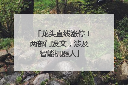 龙头直线涨停！两部门发文，涉及智能机器人