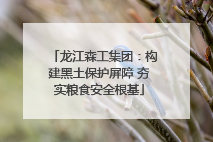 龙江森工集团：构建黑土保护屏障 夯实粮食安全根基