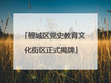鲤城区党史教育文化街区正式揭牌