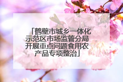 鹤壁市城乡一体化示范区市场监管分局开展重点问题食用农产品专项整治