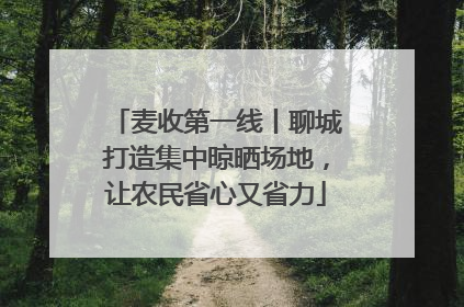 麦收第一线丨聊城打造集中晾晒场地，让农民省心又省力