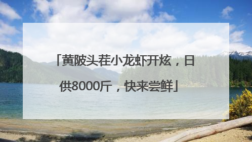 黄陂头茬小龙虾开炫，日供8000斤，快来尝鲜