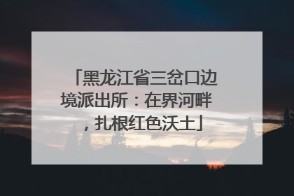 黑龙江省三岔口边境派出所：在界河畔，扎根红色沃土