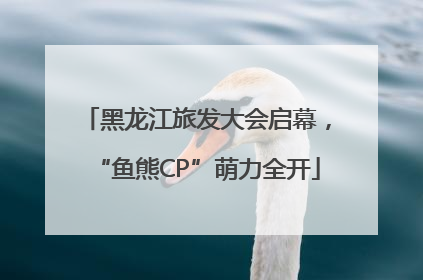 黑龙江旅发大会启幕，“鱼熊CP”萌力全开