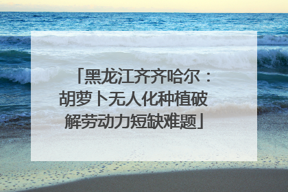 黑龙江齐齐哈尔：胡萝卜无人化种植破解劳动力短缺难题
