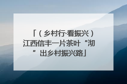 （乡村行·看振兴）江西信丰一片茶叶“沏”出乡村振兴路