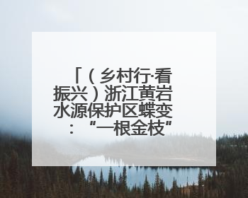 （乡村行·看振兴）浙江黄岩水源保护区蝶变：“一根金枝”的共富密码