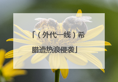 （外代一线）希腊遭热浪侵袭