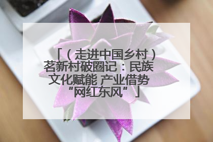 （走进中国乡村）茗新村破圈记：民族文化赋能 产业借势 “网红东风”