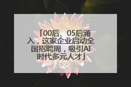 00后、05后涌入，这家企业启动全国招聘周，吸引AI时代多元人才