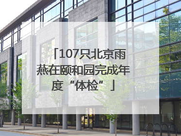 107只北京雨燕在颐和园完成年度“体检”