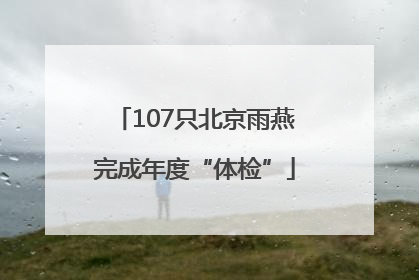 107只北京雨燕完成年度“体检”