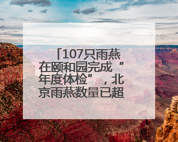 107只雨燕在颐和园完成“年度体检”，北京雨燕数量已超一万只