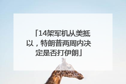 14架军机从美抵以，特朗普两周内决定是否打伊朗