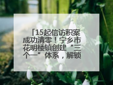 15起信访积案成功清零！宁乡市花明楼镇创建“三个一”体系，解锁基层治理新姿势