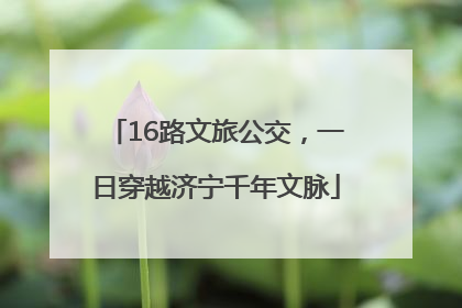 16路文旅公交，一日穿越济宁千年文脉