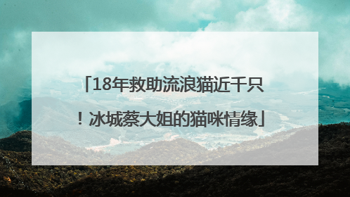 18年救助流浪猫近千只！冰城蔡大姐的猫咪情缘
