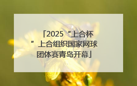 2025“上合杯”上合组织国家网球团体赛青岛开幕