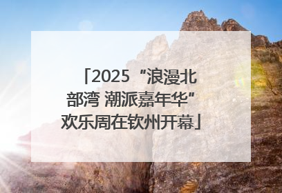 2025“浪漫北部湾 潮派嘉年华”欢乐周在钦州开幕