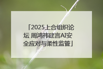 2025上合组织论坛 周鸿祎建言AI安全应对与柔性监管