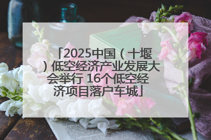2025中国（十堰）低空经济产业发展大会举行 16个低空经济项目落户车城