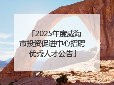2025年度威海市投资促进中心招聘优秀人才公告