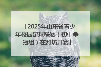 2025年山东省青少年校园足球联赛（初中争冠组）在潍坊开赛