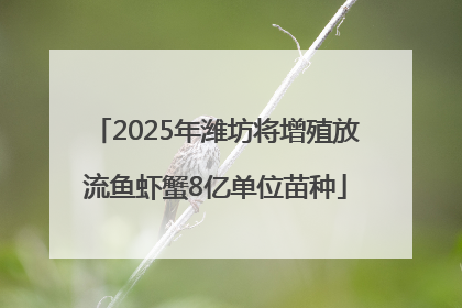 2025年潍坊将增殖放流鱼虾蟹8亿单位苗种