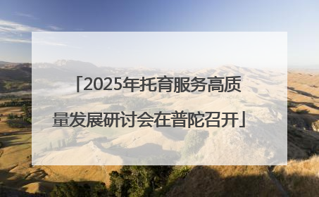 2025年托育服务高质量发展研讨会在普陀召开