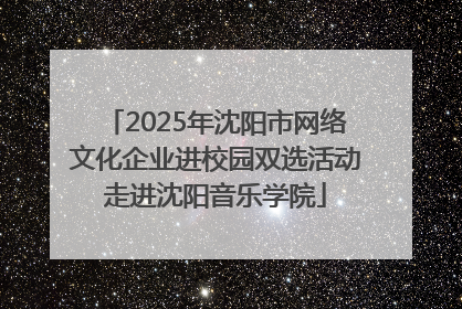 2025年沈阳市网络文化企业进校园双选活动走进沈阳音乐学院