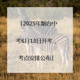 2025年烟台中考6月13日开考，考点安排公布