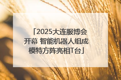 2025大连服博会开幕 智能机器人组成模特方阵亮相T台