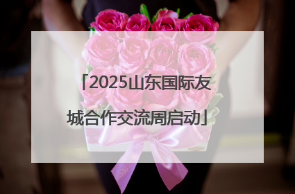 2025山东国际友城合作交流周启动