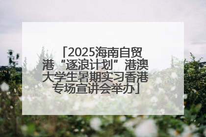 2025海南自贸港“逐浪计划”港澳大学生暑期实习香港专场宣讲会举办