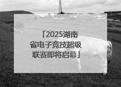 2025湖南省电子竞技超级联赛即将启幕