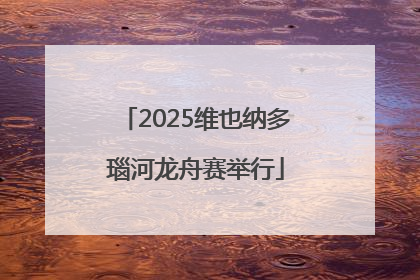 2025维也纳多瑙河龙舟赛举行