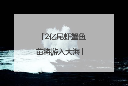 2亿尾虾蟹鱼苗将游入大海