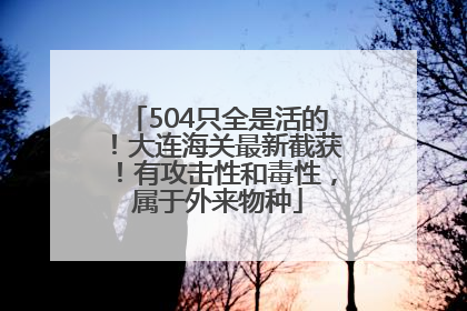 504只全是活的！大连海关最新截获！有攻击性和毒性，属于外来物种