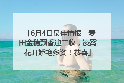 6月4日最佳情报｜麦田金穗飘香迎丰收，凌霄花开娇艳多姿！恭喜