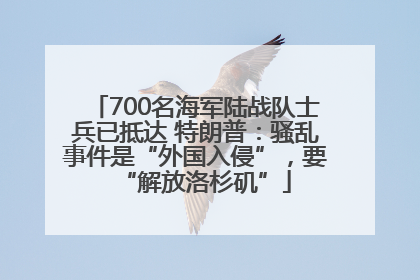 700名海军陆战队士兵已抵达 特朗普：骚乱事件是“外国入侵”，要“解放洛杉矶”